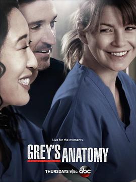 实习医生格蕾 第十季 Grey&amp;amp;#039;s Anatomy Season 10